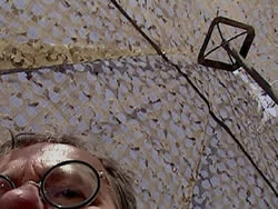 Allan Harding MacKay